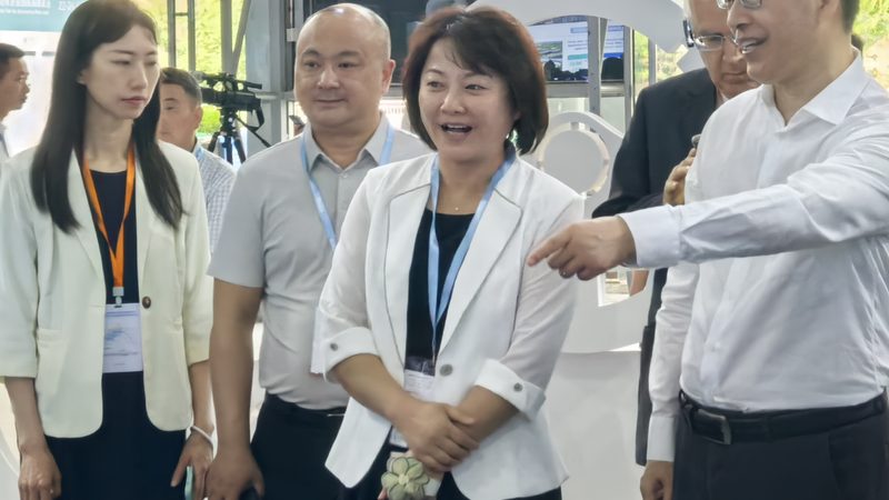 V汽车电瓶：揭秘批发报价背后的秘密